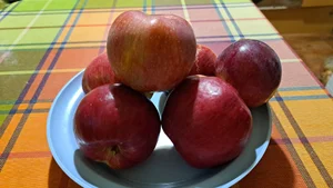 Яблоки сладкие, разных сортов