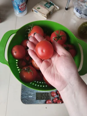 Помидорчики Изумрудное яблоко