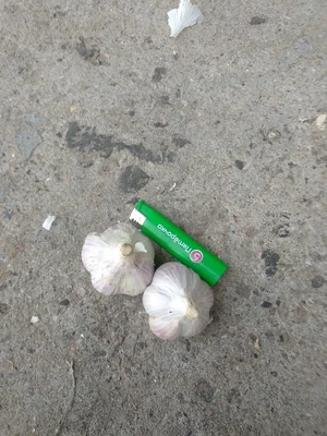 Чеснок