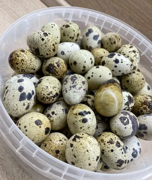 Солёное сало в вакуумной упаковке