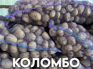 Картофель