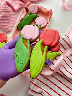 Набор “Распиши сама” (пряники с глазурью)