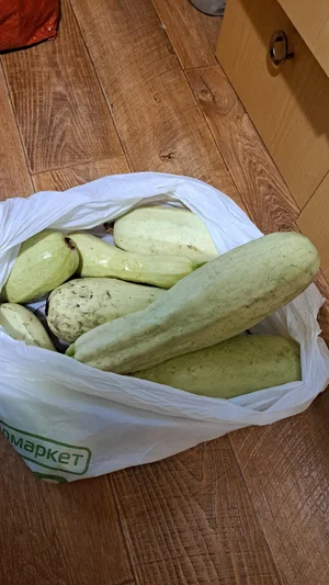 Огурцы