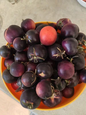 Помидоры Черри (чёрные)