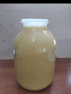 Петушков молодых домашних