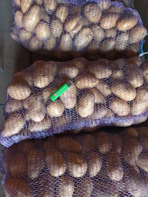 Солёное сало в вакуумной упаковке