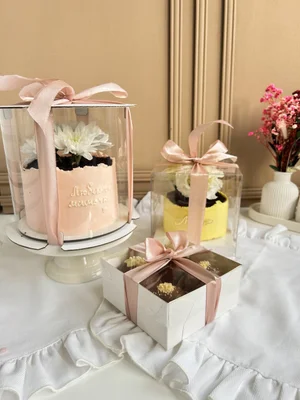 Бенто Макси