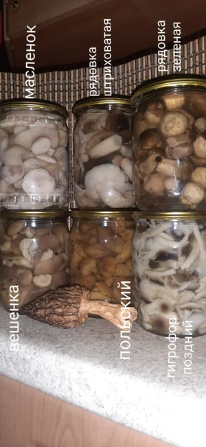 Грибы маринованные