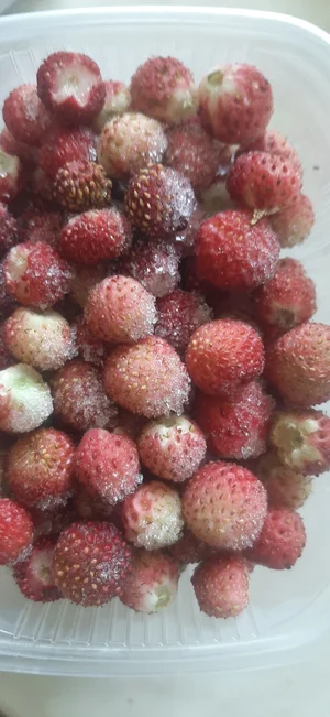 Замороженные ягоды дикие, садовые