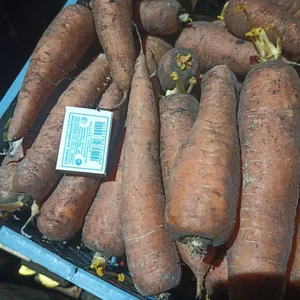 Яйцо от домашних курочек