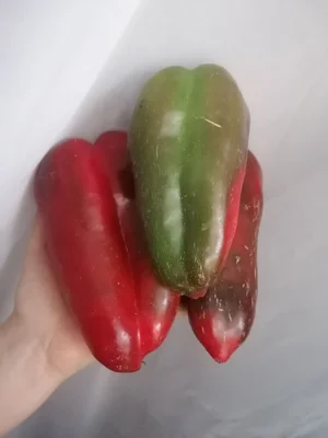 Помидоры для закруток