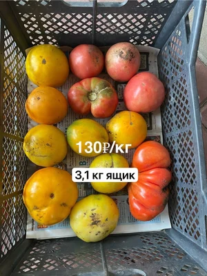 Яблоки
