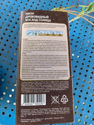 Пион древовидный "восход солнца"