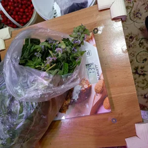 Шиповник