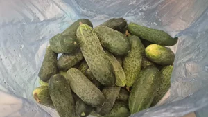 Картофель Пикассо