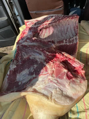 Свинина домашняя