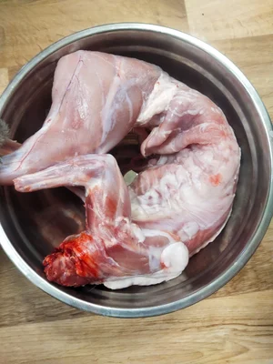 Индейка домашняя