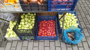Помидоры