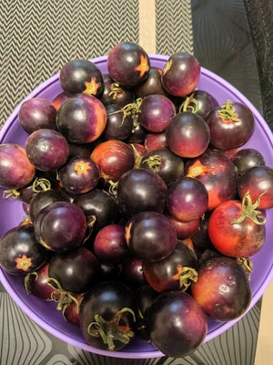 Помидоры Черри (чёрные)