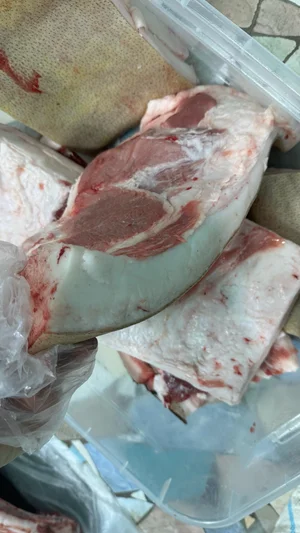 Сало на посол