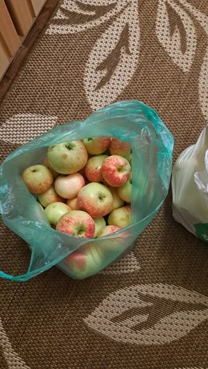 Яблоки грушовка