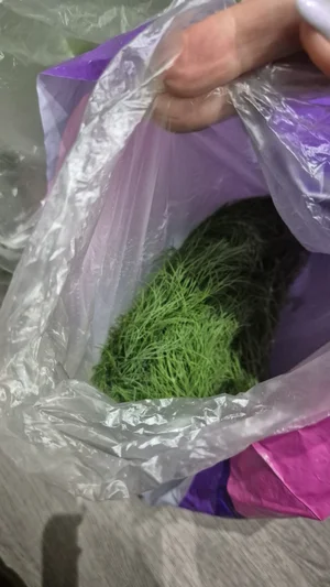 Помидоры розовые