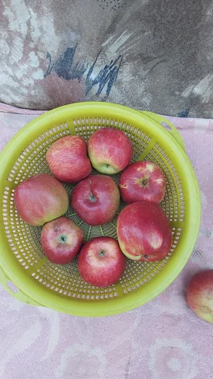 Яблоки