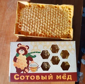 Сотовый мёд