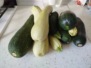 Кабачки