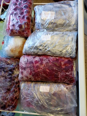 Грецкие орехи