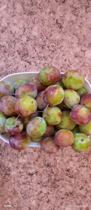 Сливы