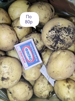 Молодая картошечка