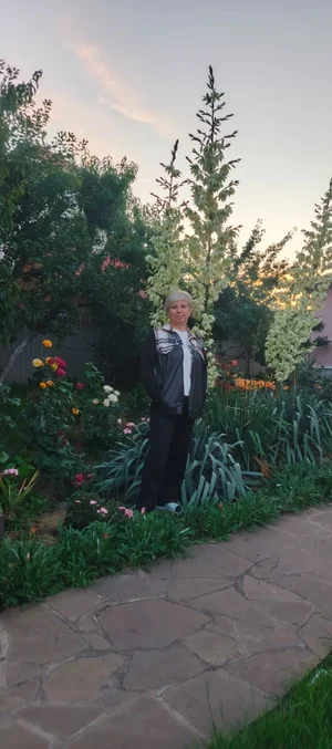 Саженцы Юкки нитчатой