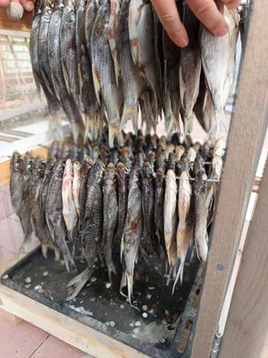 Густёрка