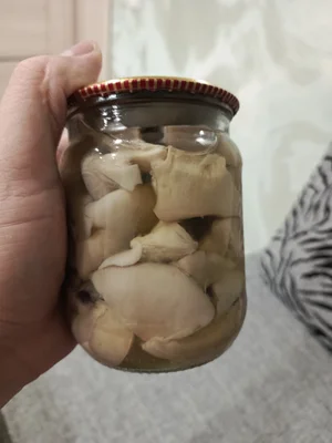 Грибы синяя ножка