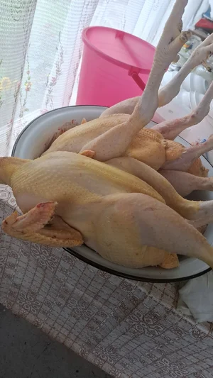 Мясо кур бройлеров