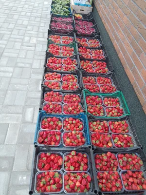 Клубника