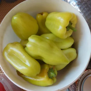 Баклажаны