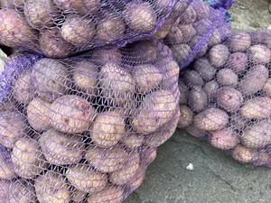 Яйца куриные