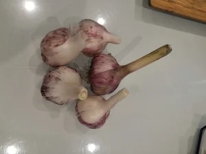 Капуста ранняя
