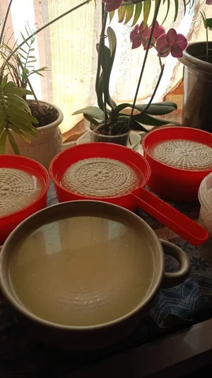 Сыр козий