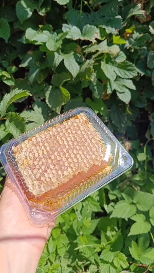 Мёд в сотах (рамка большая)