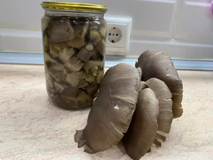 Маринованные грибы опята