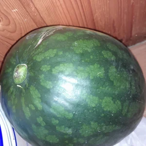 Картошка