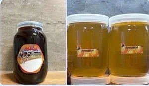 Цветочная пыльца