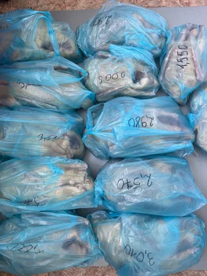 Мясо индоутки