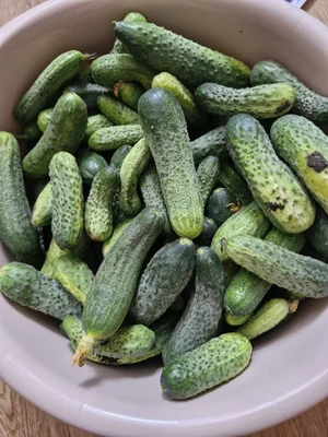 Кабачки