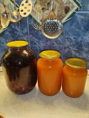 Домашние компоты в ассортименте (яблочный, вишнёвый, абриковый, персиковый, фейхоа и другие)