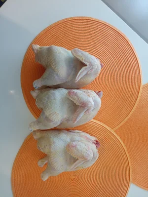 Домашний бройлер (корнишон)