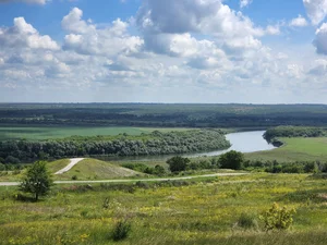 Зверобой